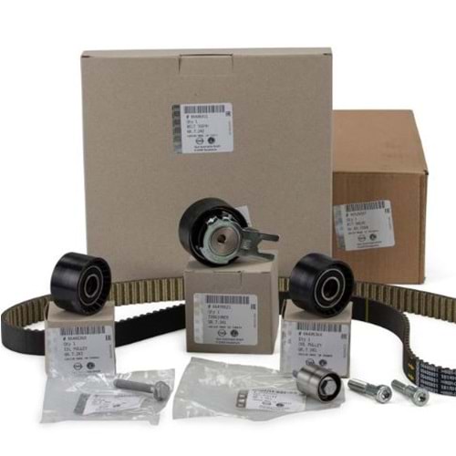 TRIGER SET INSIGNIA A B20DTH