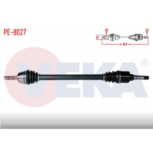 AKS SAG KOMPLE NEMO BIPPER 1,4 HDI 07-